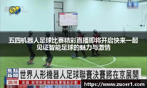 乐球体育直播
