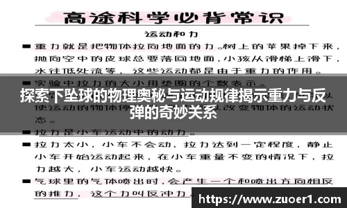 乐球体育